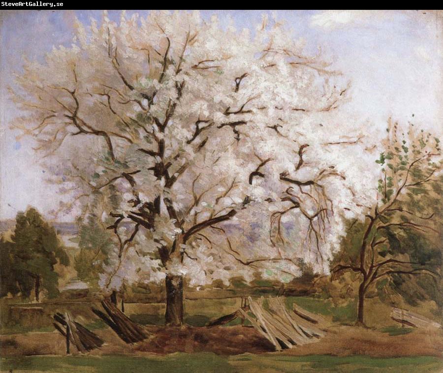 Carl Fredrik Hill apple tree in blossom